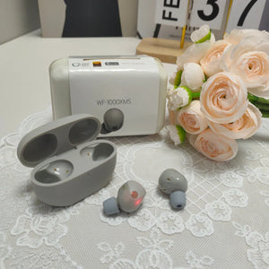 ANC Earbuds